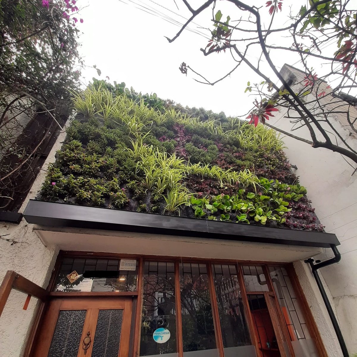Jardín Vertical Bogotá D.C.
